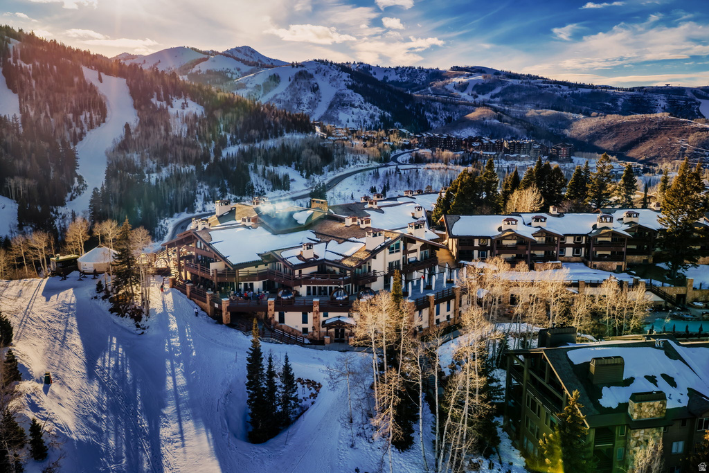 7700 STEIN WAY #256 Park City, UT 84060