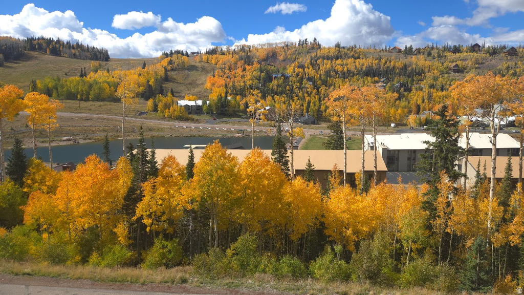 565 S VASALS RD #9B Brian Head, UT 84719