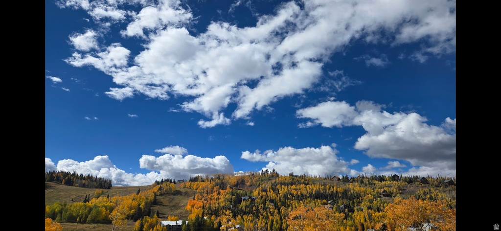 565 S VASALS RD #9B Brian Head, UT 84719