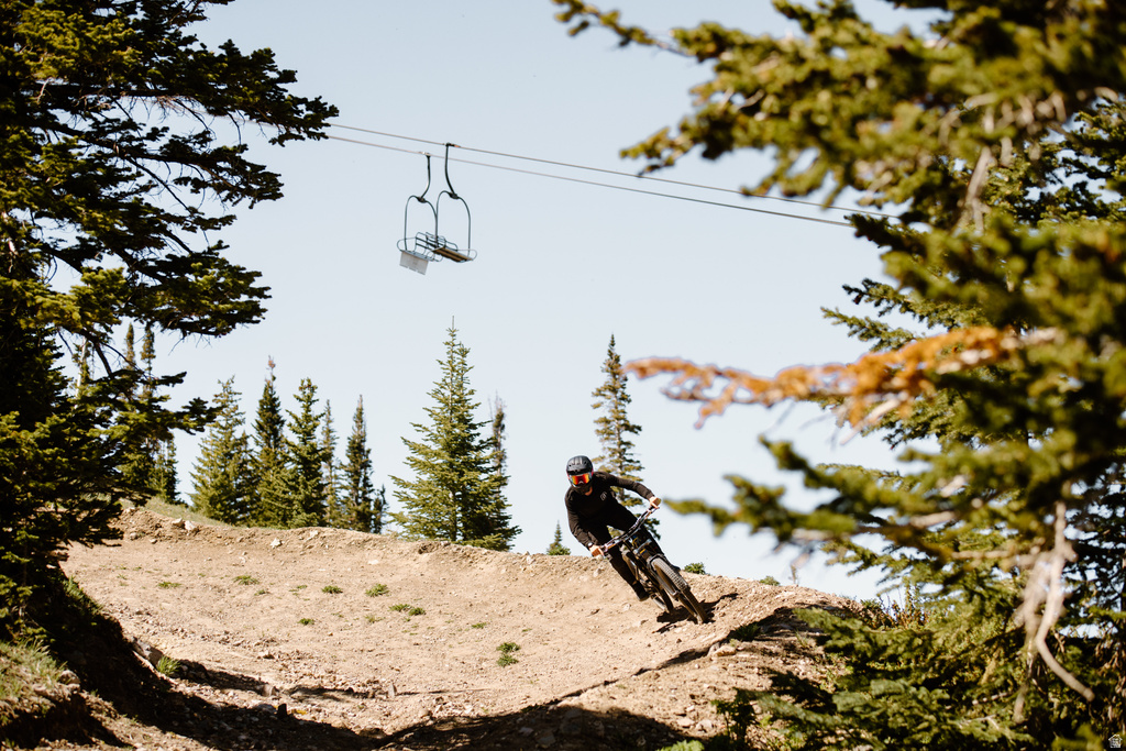 565 S VASALS RD #9B Brian Head, UT 84719