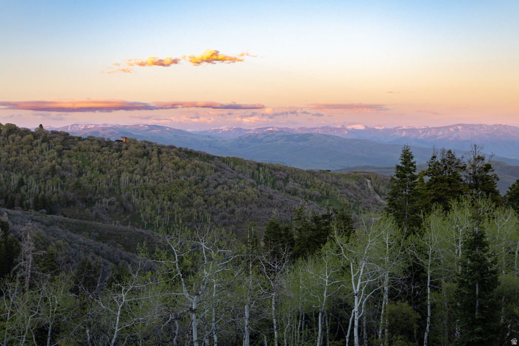 1667 W TOLLGATE CANYON RD Coalville, UT 84017