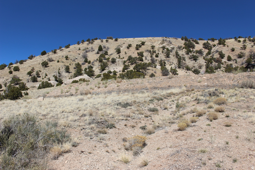 1380 S KNOLL Cedar City, UT 84720