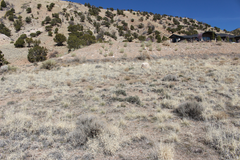 1380 S KNOLL Cedar City, UT 84720