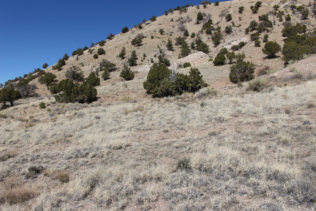 1380 S KNOLL Cedar City, UT 84720