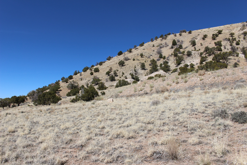 1380 S KNOLL Cedar City, UT 84720
