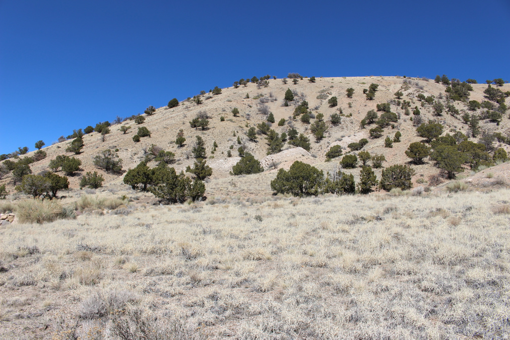 1380 S KNOLL Cedar City, UT 84720