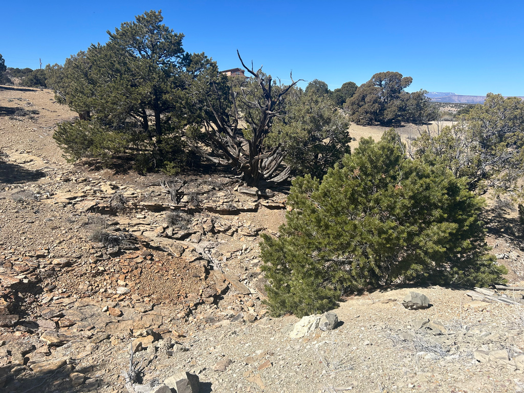 19075 W HONESTY CV Duchesne, UT 84021