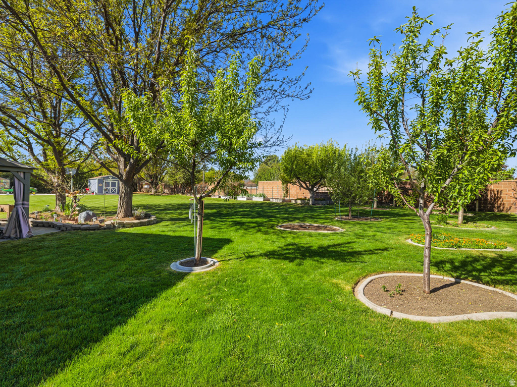 9876 S SPRUCE DALE DR South Jordan, UT 84095