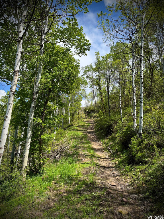 117  ECHO CREEK RNCH Echo, UT 84024