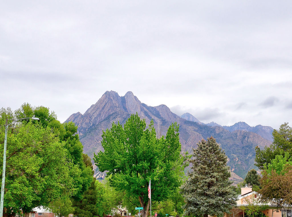 1740 E SOUTHMOOR DR Salt Lake City, UT 84117
