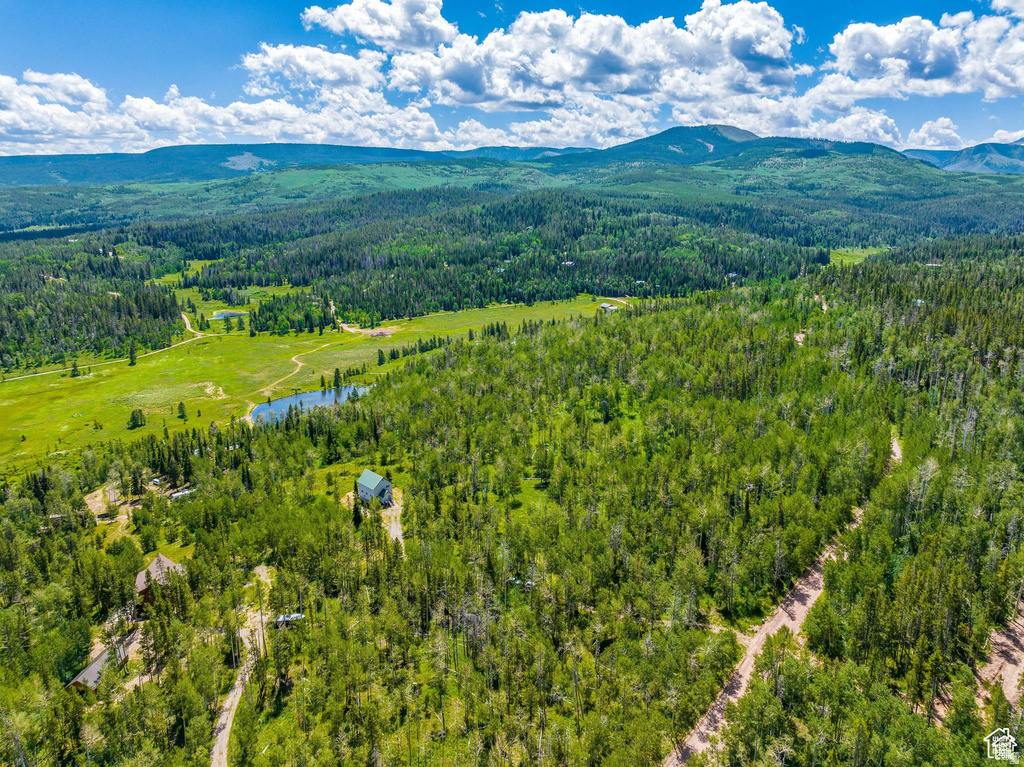 2989 UINTA DR Kamas, UT 84036