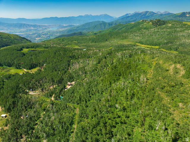 1665 W MARMOT LN Midway, UT 84049