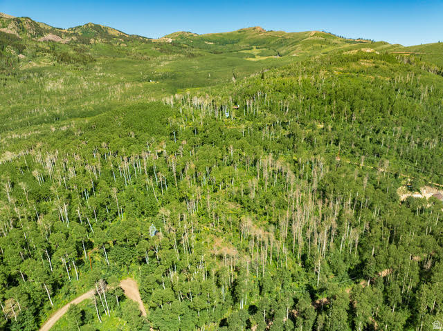 1665 W MARMOT LN Midway, UT 84049