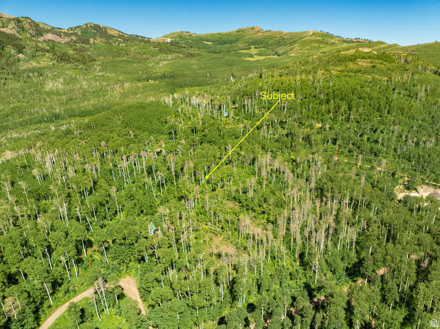 1665 W MARMOT LN Midway, UT 84049