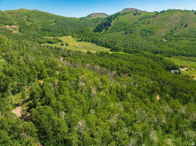 1665 W MARMOT LN Midway, UT 84049