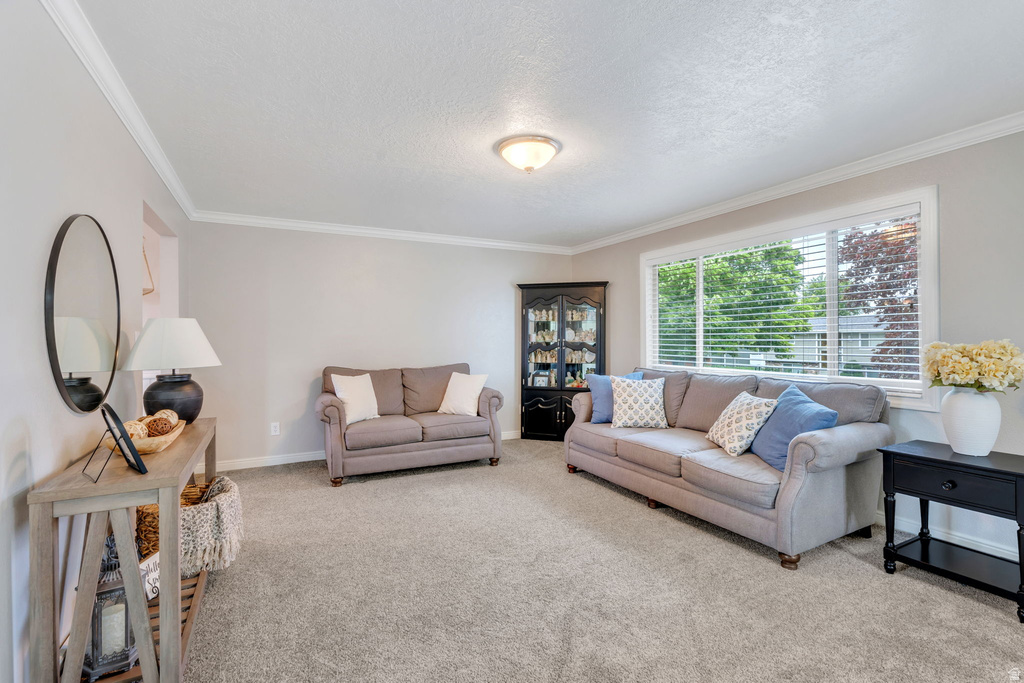 245 S 420 W American Fork, UT 84003