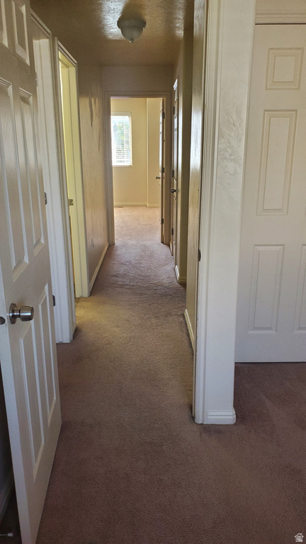 523 N 1380 W #10 Vernal, UT 84078