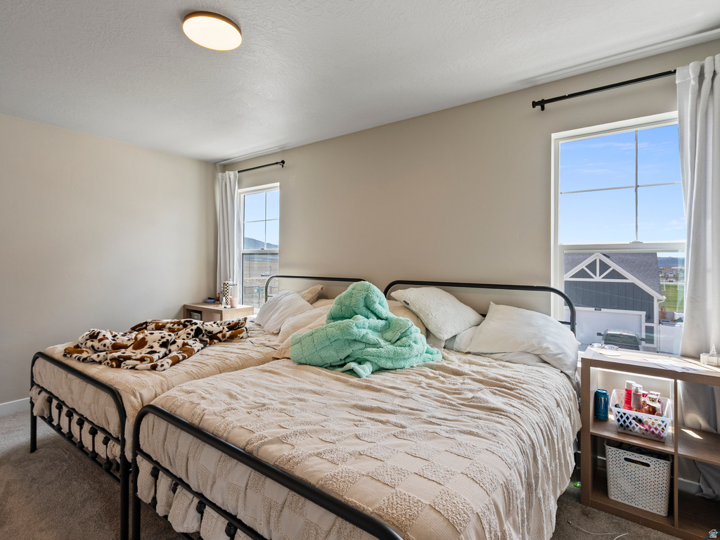 6733 N MT JEFFERSON Eagle Mountain, UT 84005
