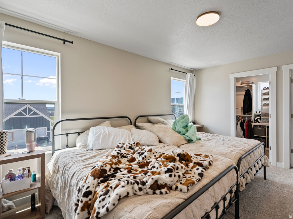 6733 N MT JEFFERSON Eagle Mountain, UT 84005