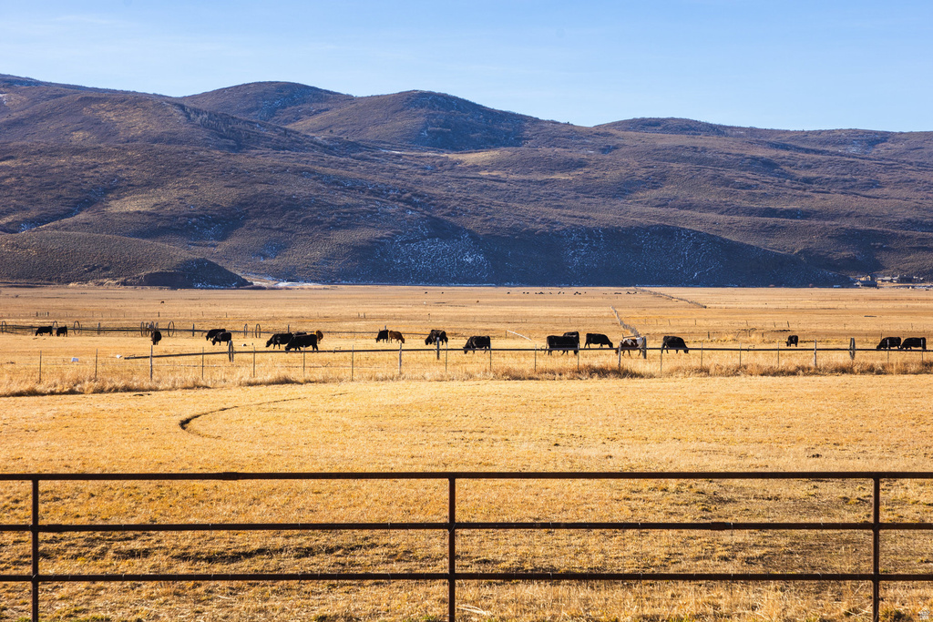 Expansive open terrain featuring natural grasses and distant mountain ranges