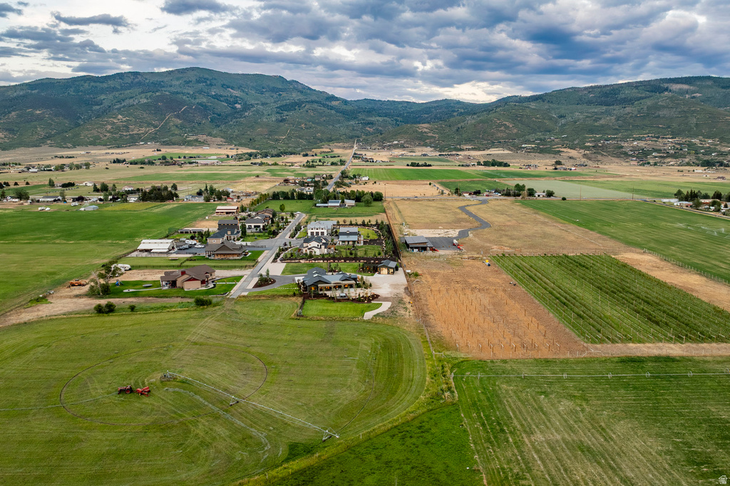 Expansive rural property featuring an established vineyard, multiple cleared parcels, and a paved private drive