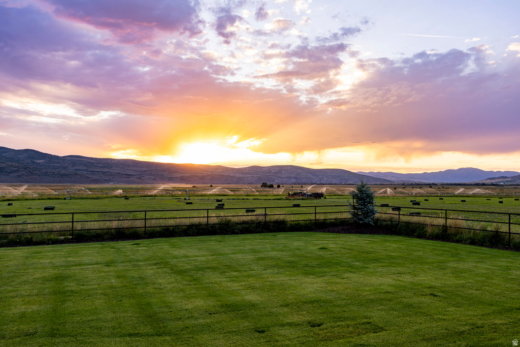 Expansive green lawn with a black metal fence, mature evergreen tree, and distant mountains