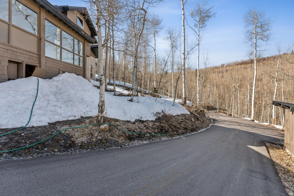 Asphalt driveway with a natural treeline backdrop, featuring a multi-story exterior with large windows and a partial retaining wall