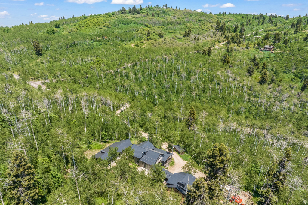10351 N KIMBALL CANYON RD photo 5