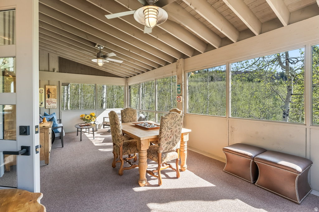 Enclosed patio featuring a vaulted wood-beam ceiling, two ceiling fans with integrated lighting, expansive windows, and light-colored carpet flooring