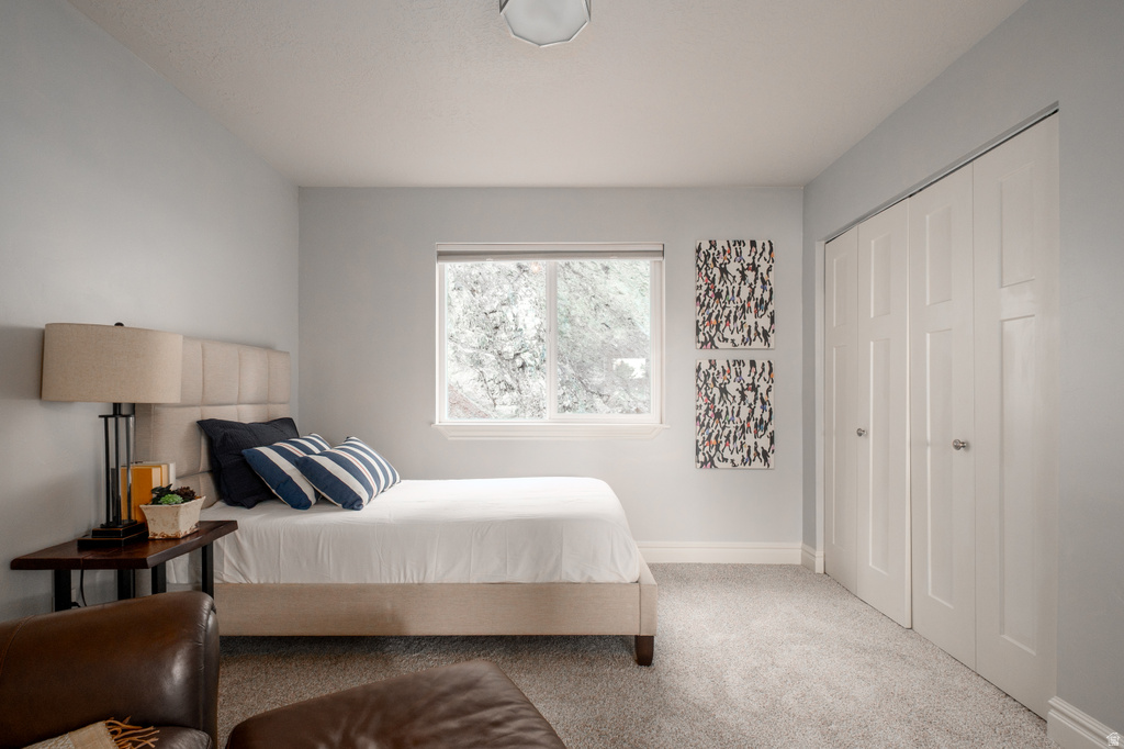 Carpeted room featuring a single window, white trim, light gray walls, and bi-fold closet doors