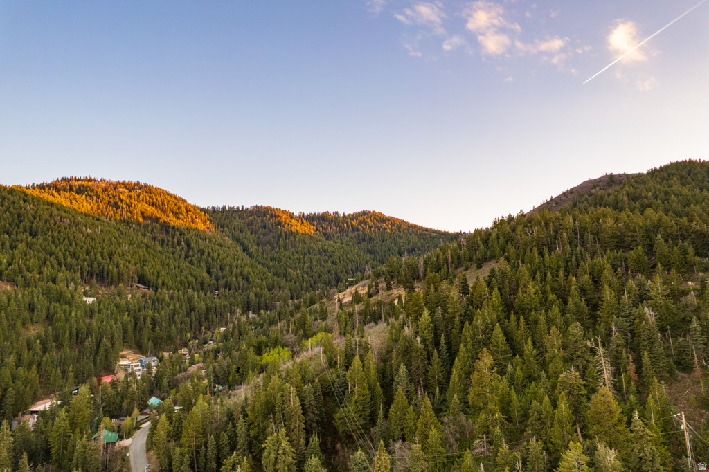 Mountainous terrain with dense evergreen forests