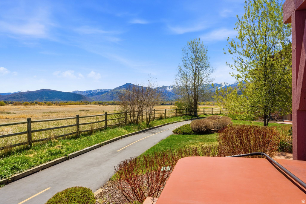 Expansive outdoor space featuring a paved path, a wooden fence, and mature landscaping