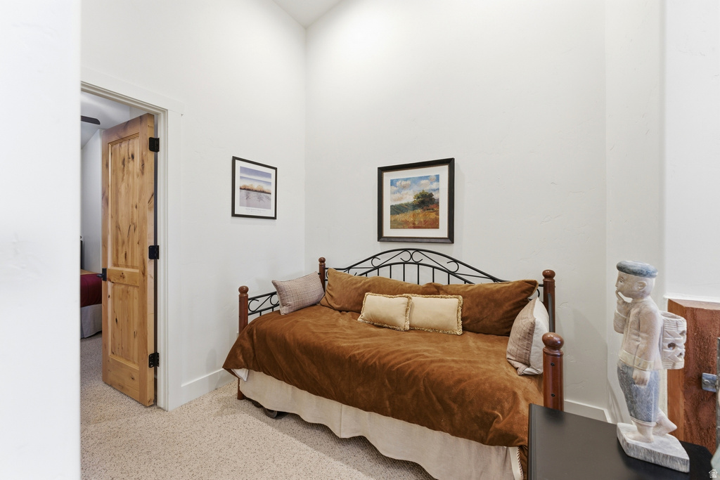 Room featuring high ceilings, light-colored walls, and textured carpeting