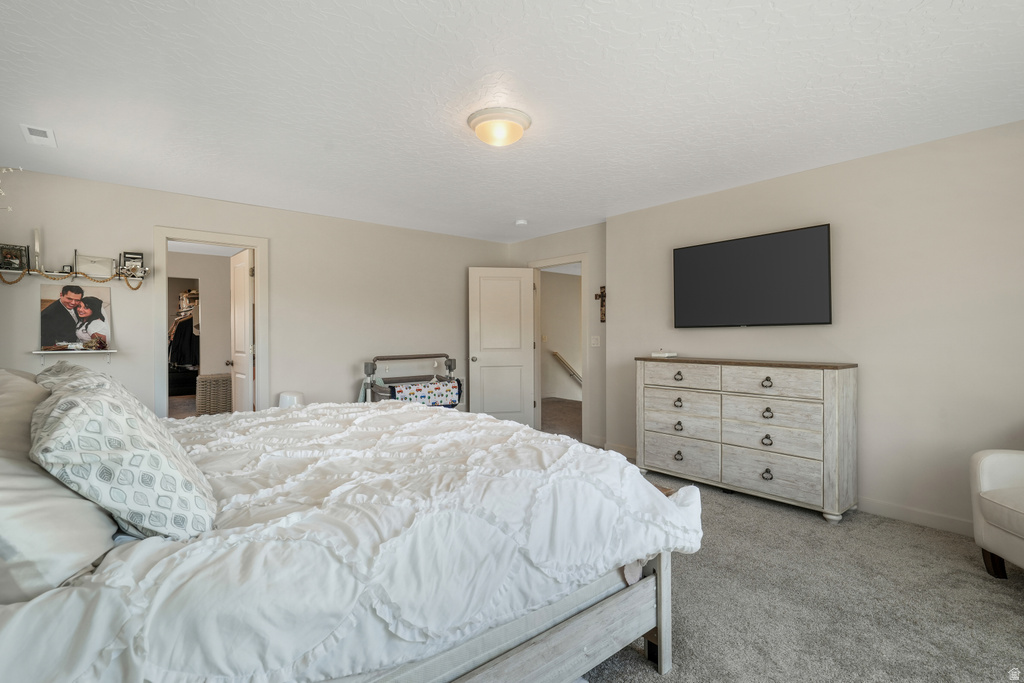 Spacious bedroom featuring light neutral wall paint, a built-in ceiling light fixture, and plush grey carpet flooring