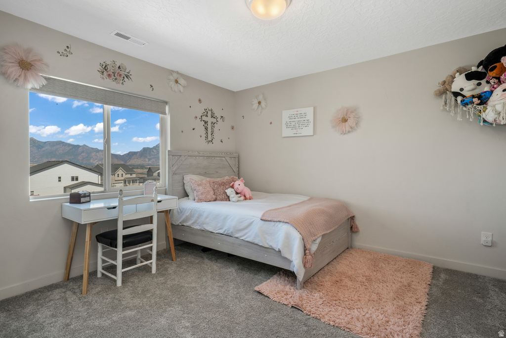 Spacious room featuring gray carpet flooring, a large window with roller shades, and a ceiling-mounted light fixture