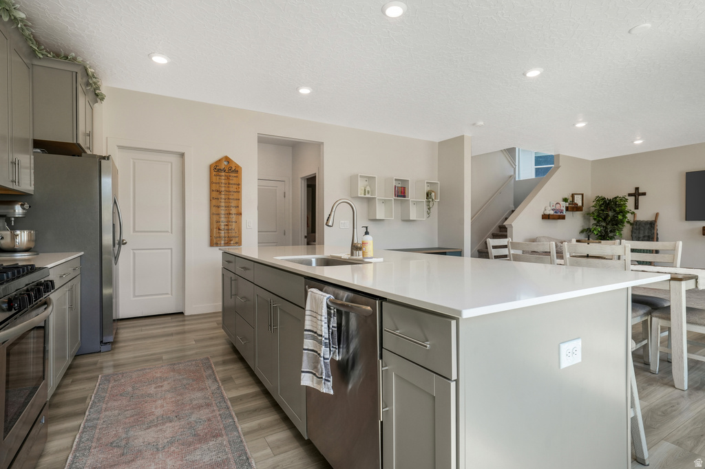 Kitchen featuring light gray cabinetry, stainless steel appliances, a large center island with a sink and white countertop, and wood-finish flooring