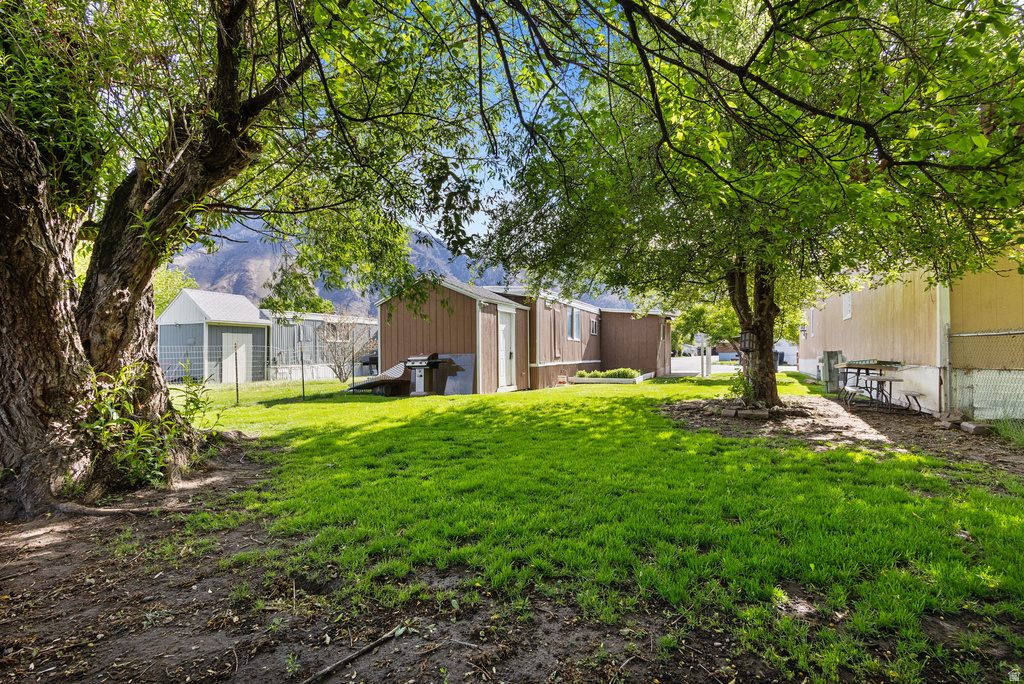 Expansive green lawn framed by mature trees, showcasing a brown sided structure with white trim and an additional white shed