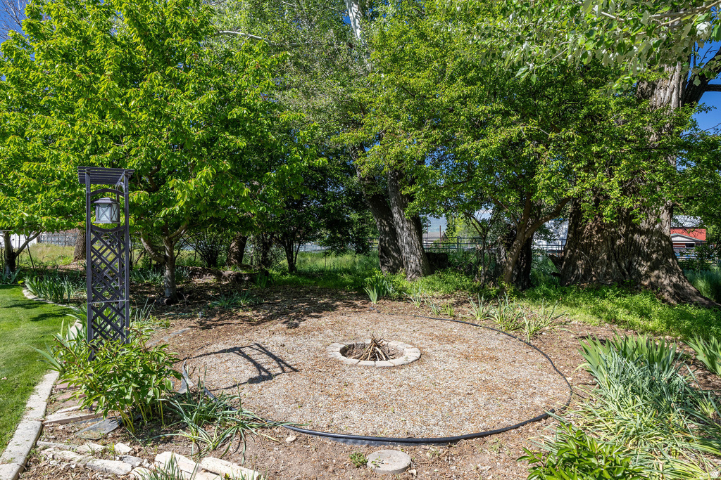 Outdoor fire pit area with gravel groundcover, surrounded by mature trees and lush green foliage