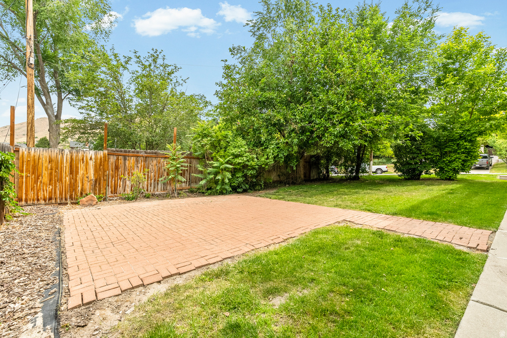 Yard