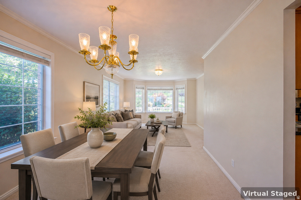 50 E HIGHLINE DR photo 5