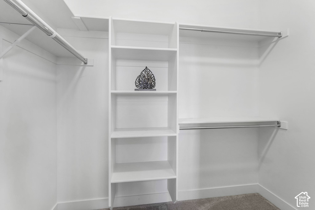 Walk-in closet featuring built-in shelving, multiple hanging rods, and neutral-toned carpeting