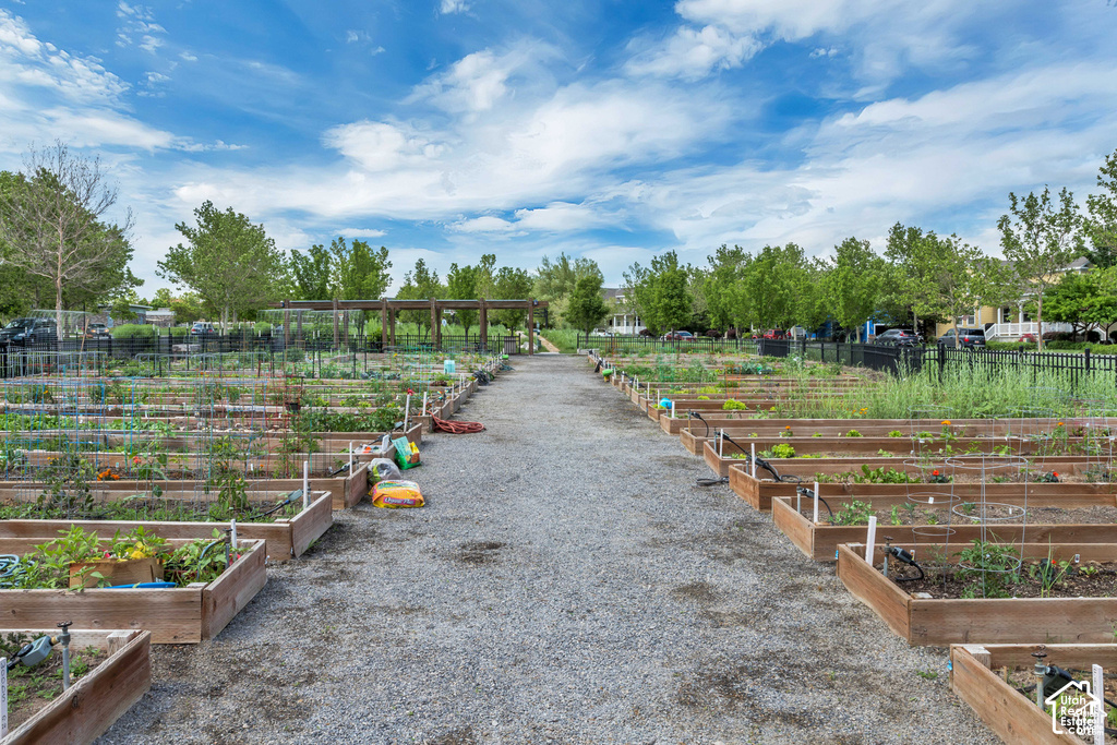Community garden with multiple raised garden beds