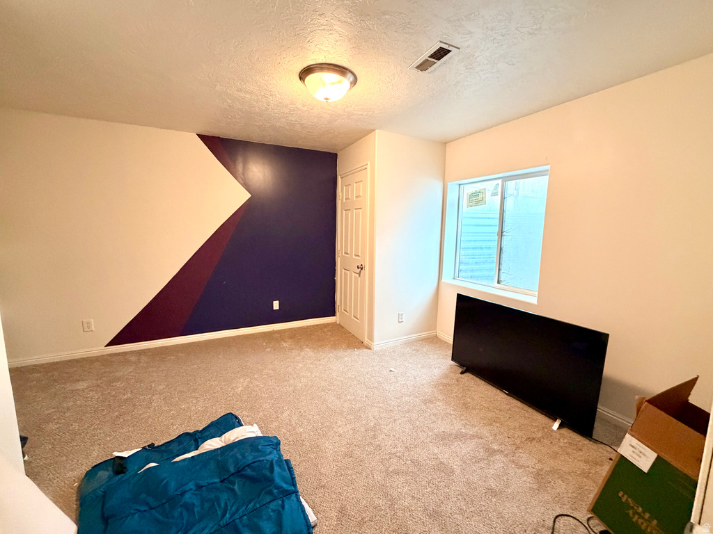 Carpeted interior room featuring a geometrically painted accent wall, a single window, and a paneled door