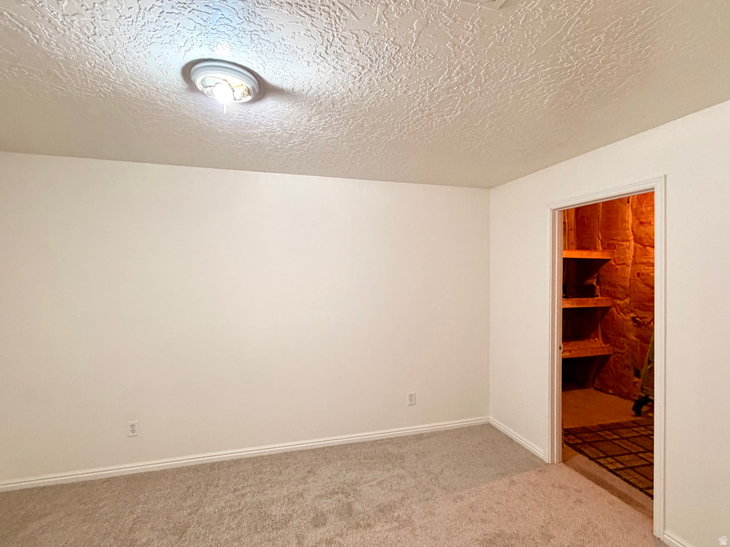 White walls, light-colored carpeting, and a built-in closet with shelving and visible insulation