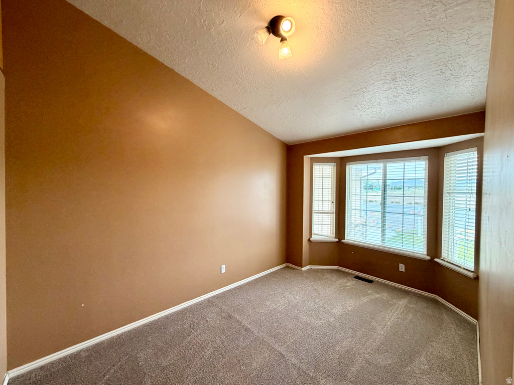 Bay window with horizontal blinds, textured ceiling, and carpeted flooring