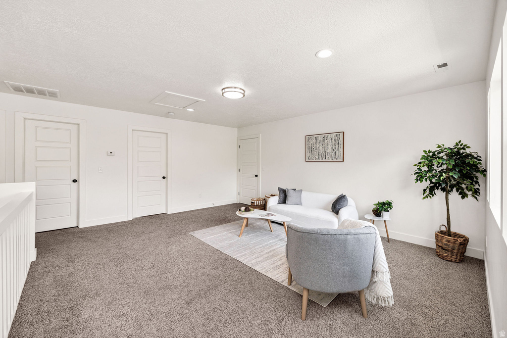 Spacious carpeted room featuring white walls, multiple paneled doors with black hardware, and recessed lighting