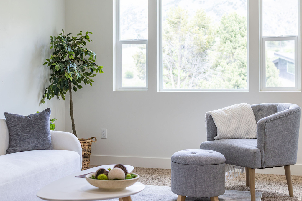 Bright interior space featuring a series of rectangular windows, light-colored walls, and neutral carpet flooring