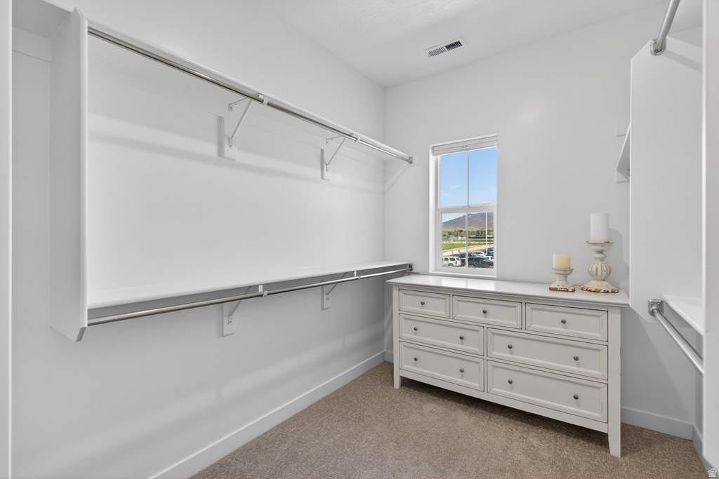 Spacious closet featuring built-in white shelving, chrome hanging rods, and neutral carpet flooring