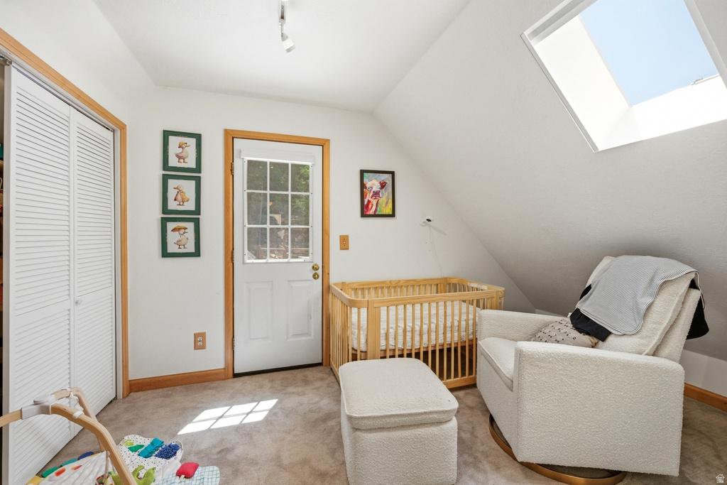 Angled ceiling room with a skylight, white louvered bifold closet doors, a paneled door with window inserts, track lighting, and wood-finish trim