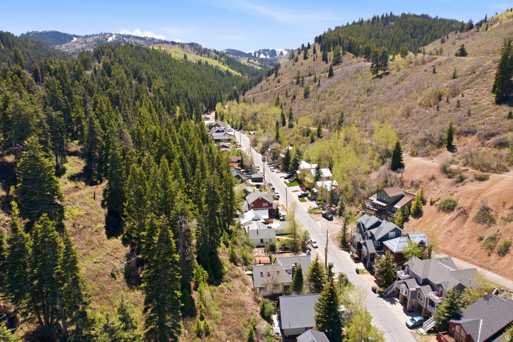 Mountainous terrain featuring dense evergreen forests and properties lining a paved road
